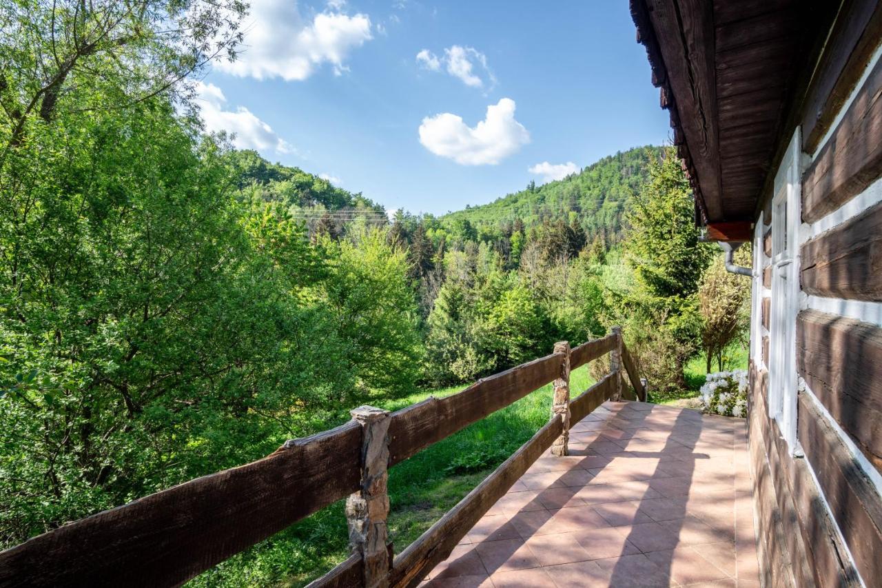 Apartament Roubenka Mustelka Rokytnice nad Jizerou Zewnętrze zdjęcie